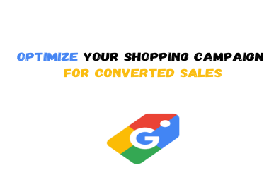 Your high converted Google Shopping ads Optimization Expert for your any Ecommerce store