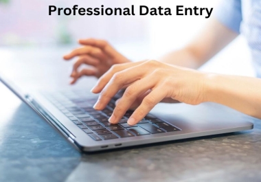 I will do any data entry task with expertise
