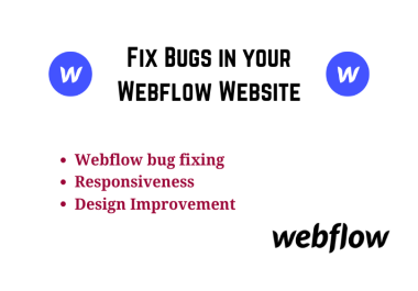 I will do seo and fix bugs in your webflow website