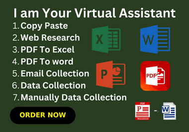 Virtual assistant for data entry Excel,  copy paste,  Word,  PDF