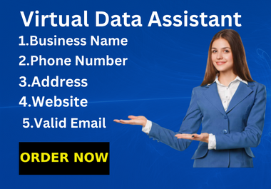 I will be your virtual assistant for data entry excel,  copy paste assistant