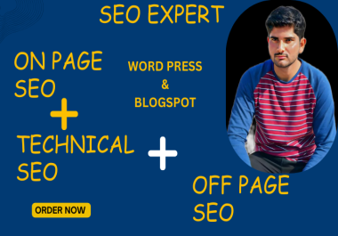You can hire me for Wordpress on page technical and local SEO services