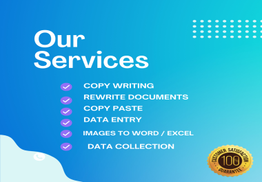 i will do data entry,  copy paste,  proofreading,  online research,  rewriting & summary doc,  pdf, excel