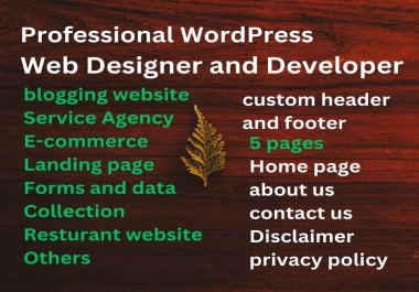 I will Build Professional website in wordpress