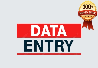 I will do Fast and Accurate Data Entry,  copy paste,  pdf editor Services for you.