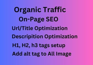 I Will Do Best On Page SEO Service for Your Website