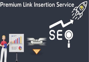 Skyrocket Your Online Presence Elevate Your Brand with Our Premium Link Insertion Service