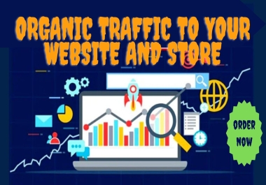 Real Human Traffic To Your Website And E commerce Store