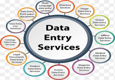 Providing Service of the DATA ENTRY
