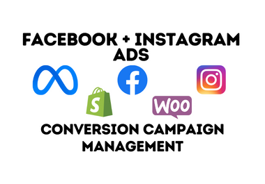I will setup conversion facebook and instagram ads for ecommerce websites