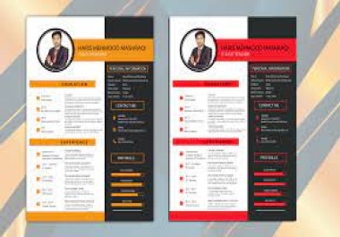 i will make your best cv in MS word
