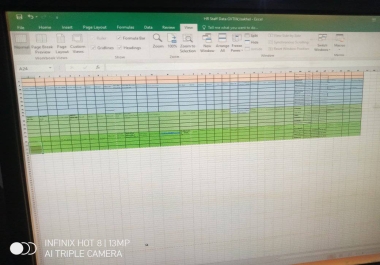 I will do data entry typing work job,  copy paste,  excel data entry and pdf to excel.