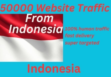 I will drive organic and targeted Indonesia web traffic to your website