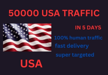 I will drive organic and targeted USA web traffic to your website
