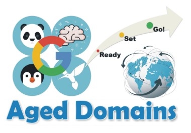 Premium Aged Domains for Instant Authority & SEO Boost