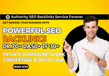 diversified off page seo backlink service with authority link building