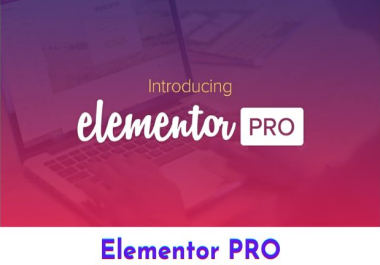 Elementor Pro Wordpress Plugin Latest updated Version v3.16.1 + 3.16.3