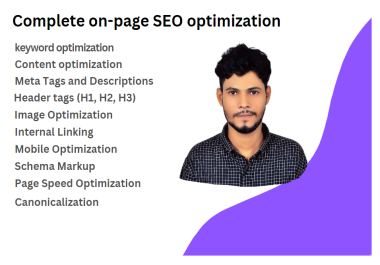 Complete on page/on site SEO and technical optimization in your Website