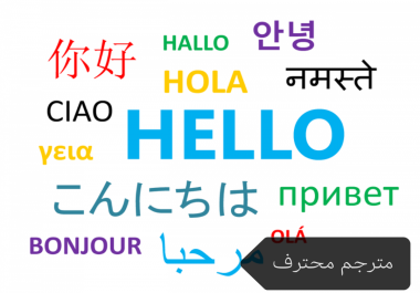 I am a professional translator who provides my servic...