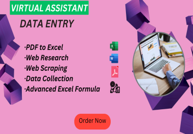 I can do Excel Data Entry,  PDF to Excel Fast and Accurate