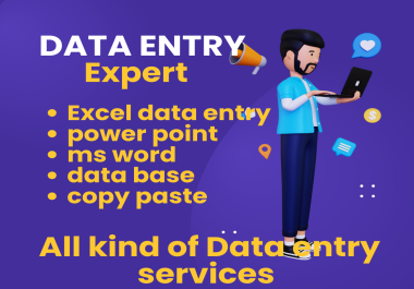 I will do data entry,  copy paste,  word,  and excel data entry work for you