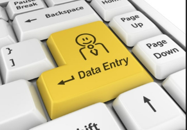 I will do fast and accurate data entry service