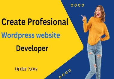 I will provide professional WordPress website developer