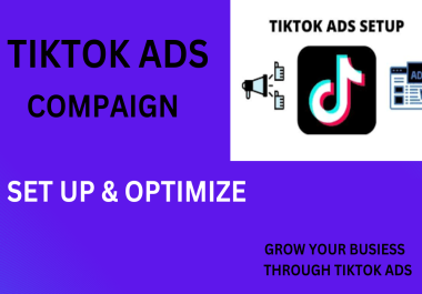 I will run successful tik tok ads campaign,  tik tok ads manager,  Tiktok advertising