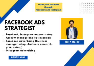 I will run strategic facebook/instagram ads campaigns for your business