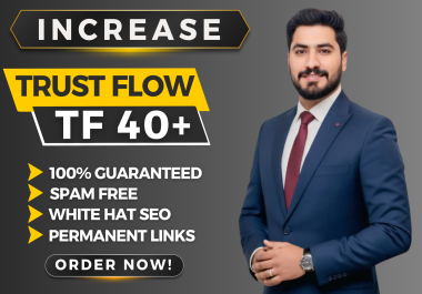 I Will Increase Majestic Trust Flow TF 40+ to Improve Ranking