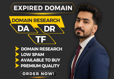 I Will Research and Provide 1 Expire Domain for SEO Growth