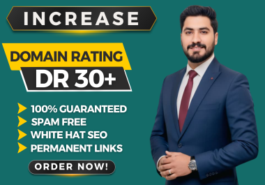 I Will Increase Ahrefs Domain Rating DR 30+