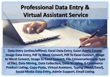 Professional Virtual Assistant & Data Entry,  Typing,  Copy and Paste works offered