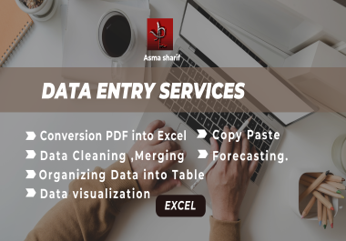 I do Data Entry tasks,  data formatting,  cleaning in Excel,  PDF to Excel, PDF to word