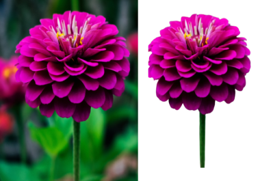 i will remove the background of 25 amazon and other product images in just 5 dollar