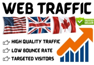 REAL HIGH QUALITY WEBSITE TRAFFIC