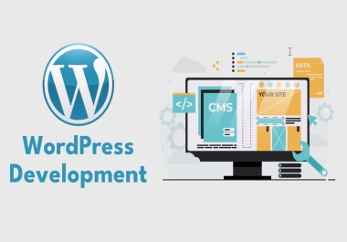 WordPress Theme Customization and Development