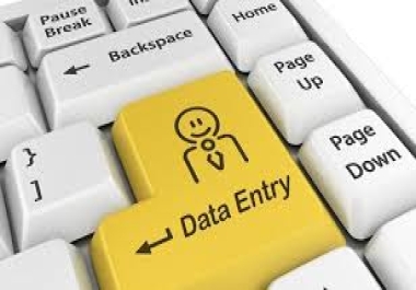 Expert Data Entry Services for Precise Excel Work,  Copy-Paste,  and Typing Tasks