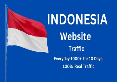 Traffic to your website from 10,000 Indonesia TARGETED Organic Website Visitors