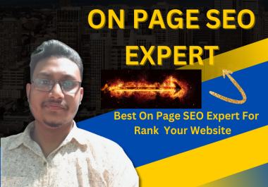 I will do wordpress On Page SEO for your business