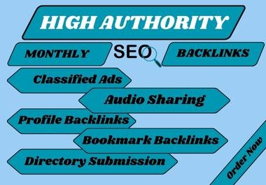 255 High-Authority Monthly SEO Backlinks Service