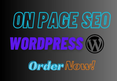 I will do on page SEO optimization for your wordpress site