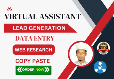 I will do data entry with sincerity