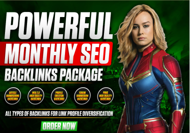 I will provide a full monthly SEO package for google ranking