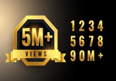 5 Million USA Organic Traffic for Bl0gs,  Stores,  and Business Website