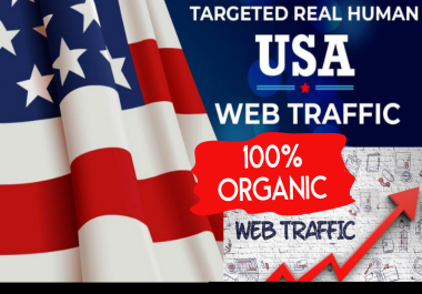 i will send 1 million USA organic traffic to your website