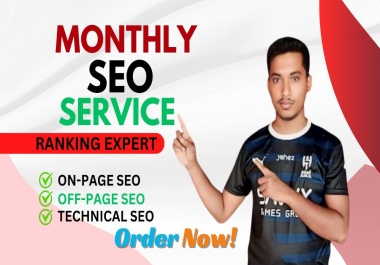 I will provide complete monthly seo service with link bulding for google top ranking