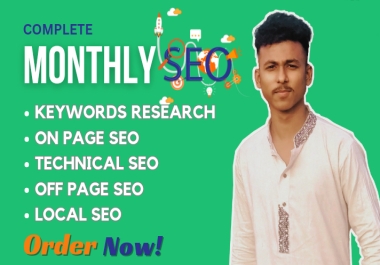 I will do monthly SEO service for your website