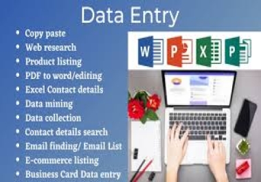I will do data entry typing work job,  copy paste,  excel data entry