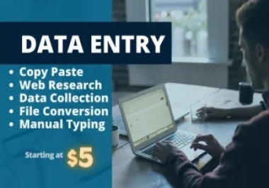 I will do data entry,  web research,  targeted leads,  data collection,  copy paste